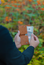 Load image into Gallery viewer, EXTEND Genuine Leather Wallet 5239 Velvet