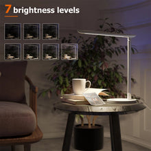 Load image into Gallery viewer, Ravpower LED Desk Lamp Dimmable