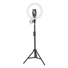 Load image into Gallery viewer, Baseus live stream holder-floor stand 12'' inch