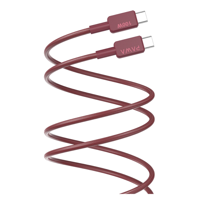 Pawa EL Caro Series USB-C to USB-C 100W