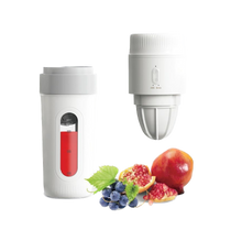 Load image into Gallery viewer, Green 3 In 1 Smart Juicer 380 Ml-White
