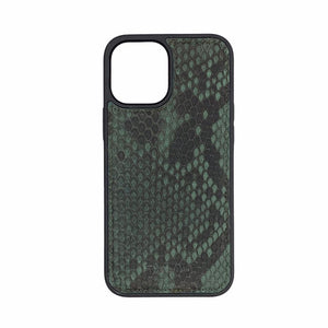 EXTEND Genuine Leather python cover SNS95 (12/12 pro)(Green)