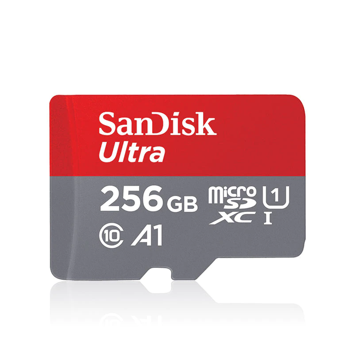 Sandisk Micro SD ( 256GB ) with adapter