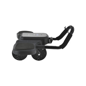 Green Lion ABS Exercise Roller