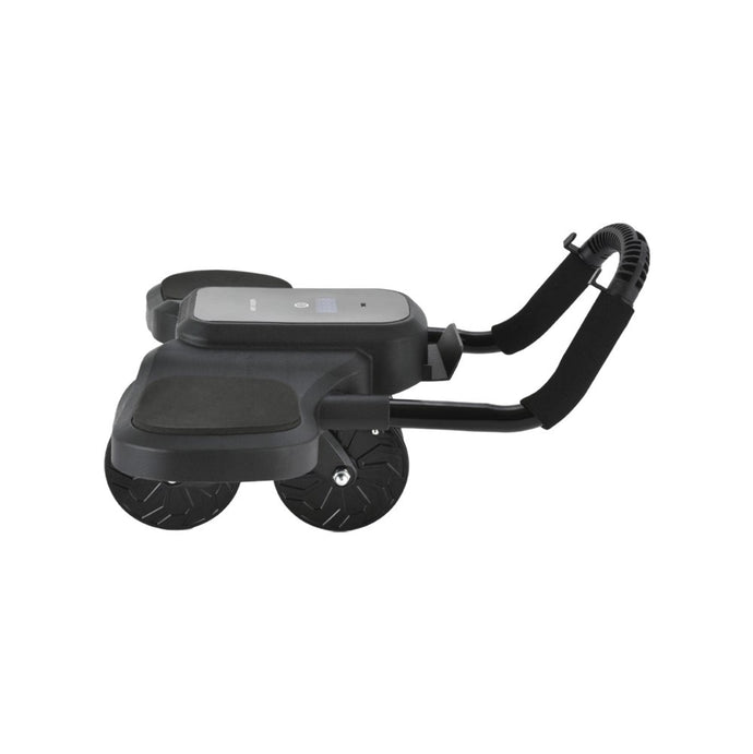 Green Lion ABS Exercise Roller